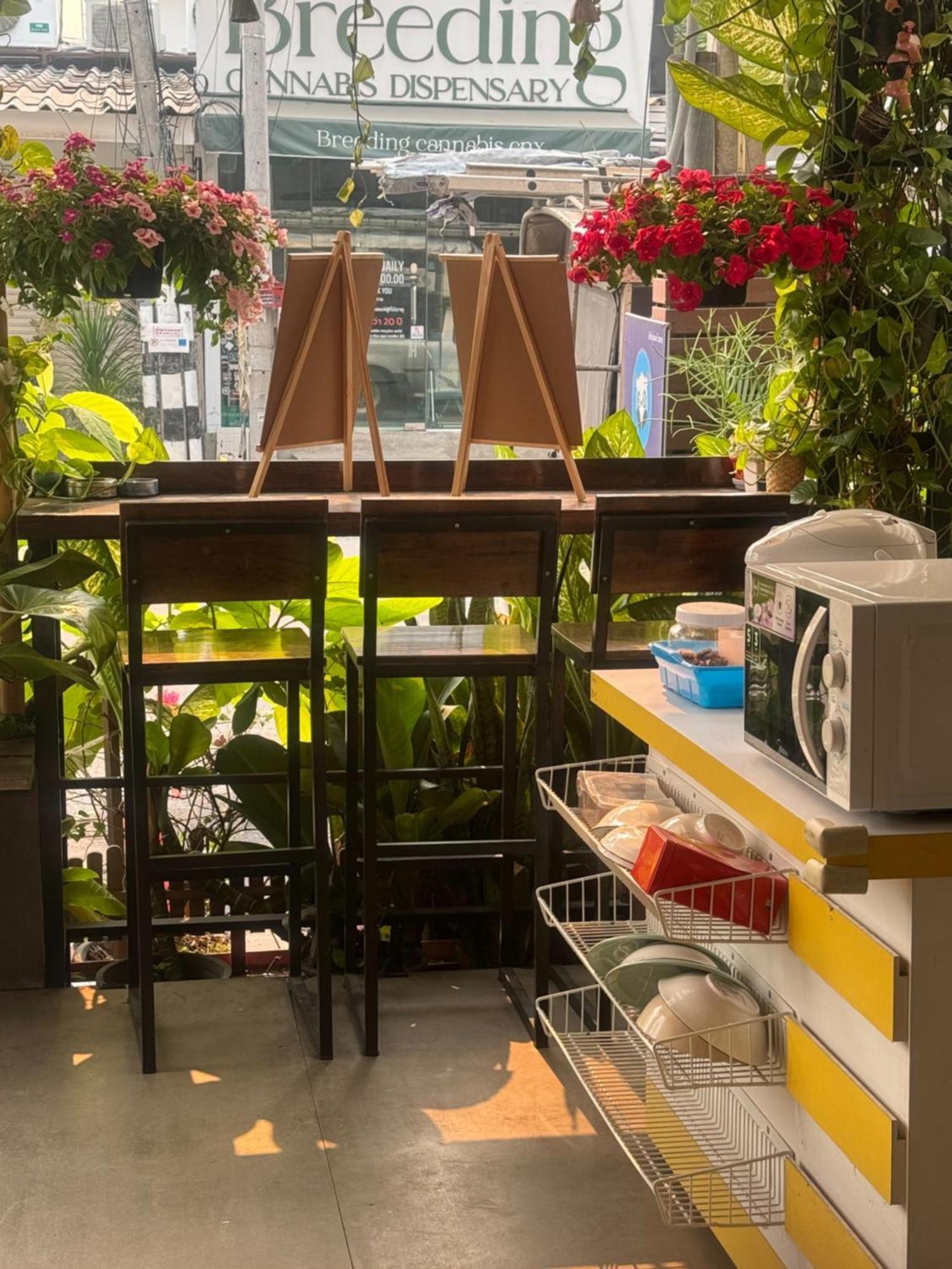 Chiang Mai Panda Hostel Dış mekan fotoğraf