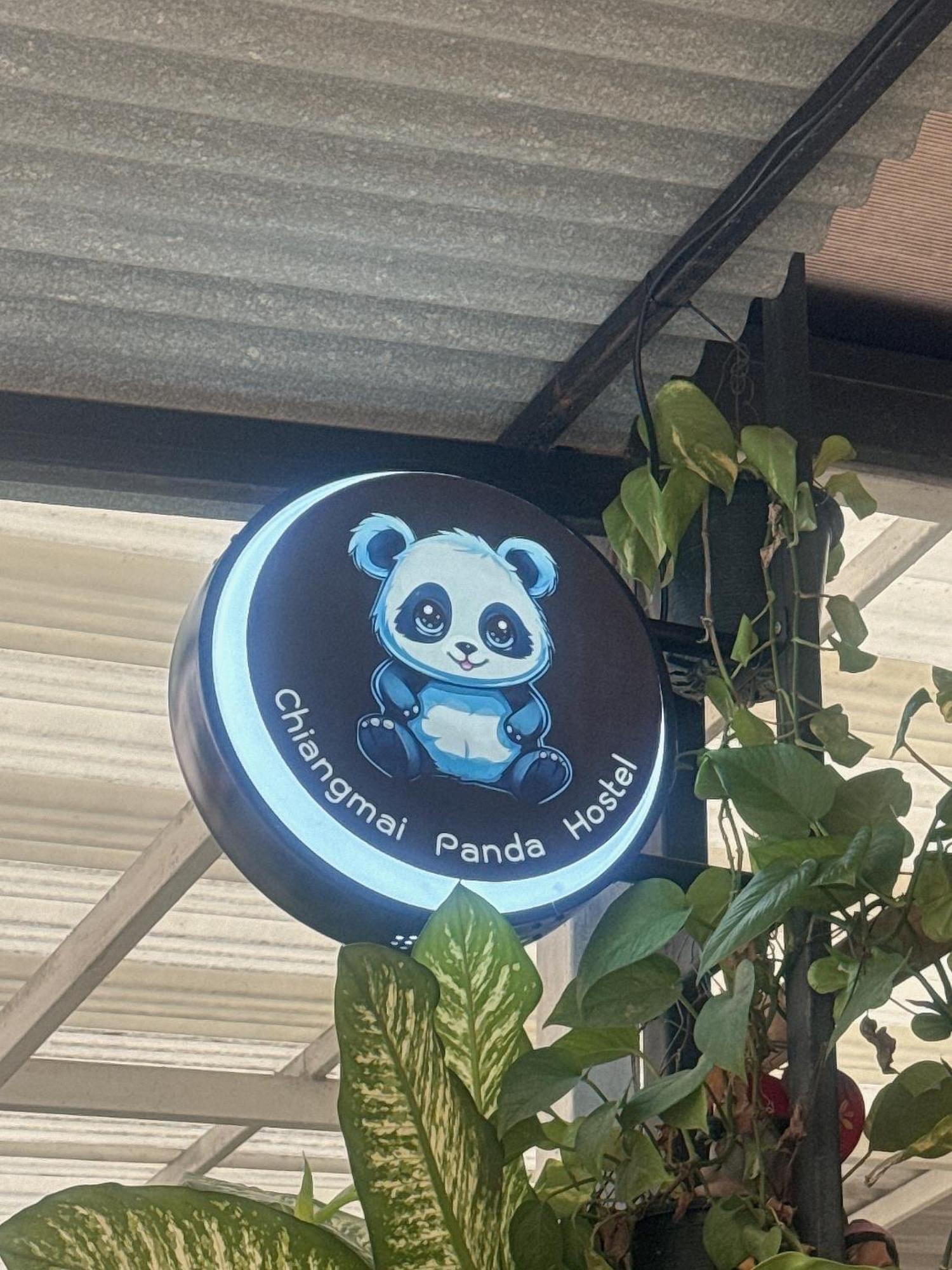 Chiang Mai Panda Hostel Dış mekan fotoğraf